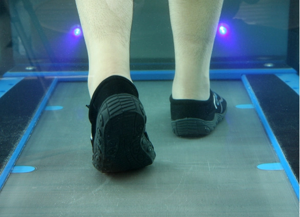 Lifestyle Trainer, Υδατοδιάδρομος