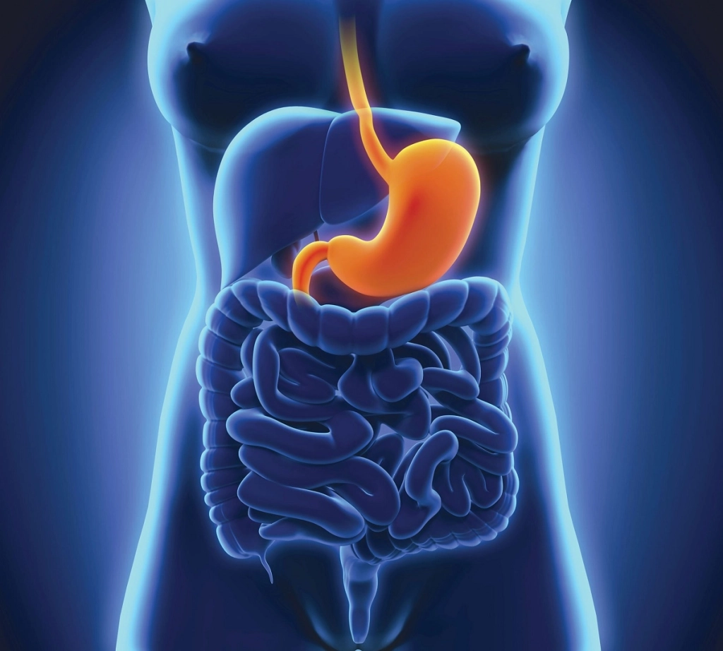 Κλινικό Σεμινάριο Ενδοσκοπικών Τεχνικών (Hans-On Course)