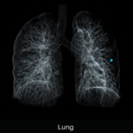 uCT 550 | 40 / 80 Slice