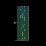 uEXPLORER | Total-body PET/CT