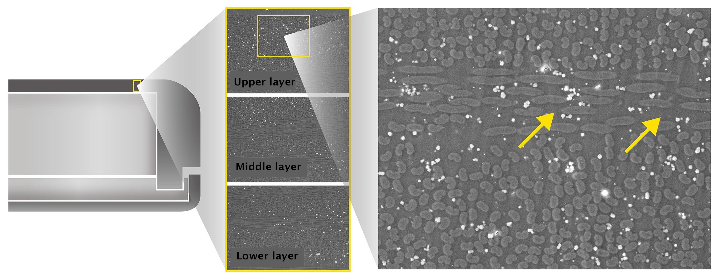 AeroDR 3 HD2, Wireless Digital Radiography System