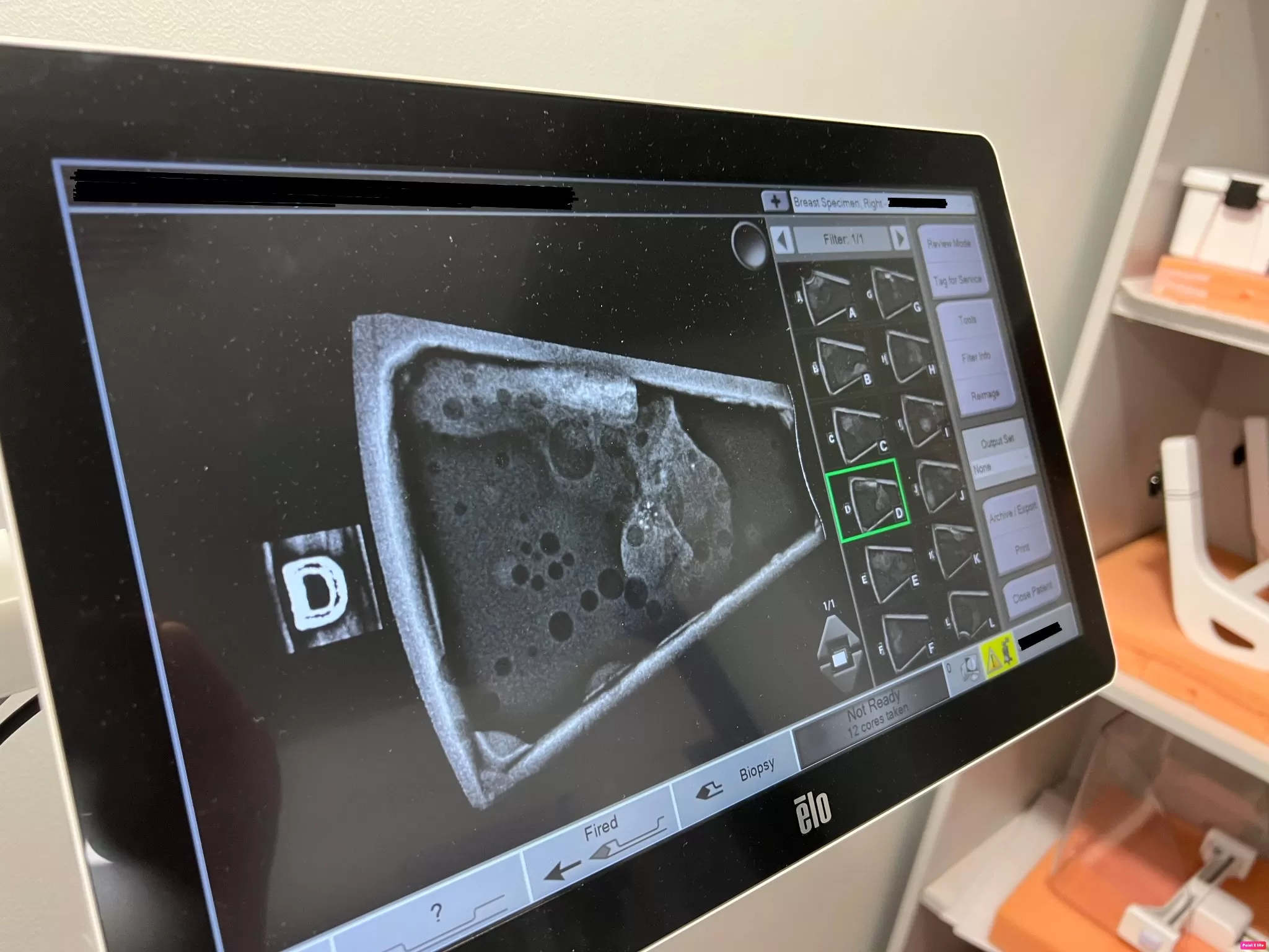 292471981_10224225741165424_6530697793487740305_n