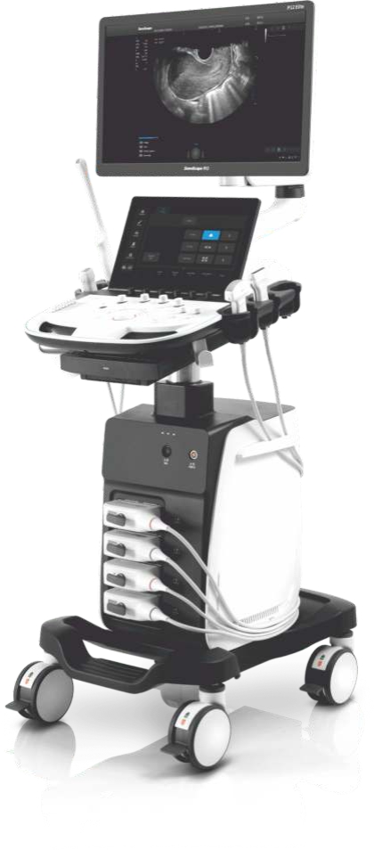 Ultrasound P12 Elite